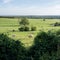 beautiful countryside landscape with cows near verdun in the north of france