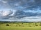 beautiful countryside landscape with cows near verdun in the north of france