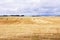 Beautiful countryside landscape. Round straw bales in harvested fields