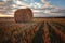 Beautiful countryside landscape. Round straw bales in harvested fields and blue sky with clouds