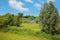 Beautiful countryside rural belgian landscape, green meadow and trees, lake, blue sky fluffy clouds - Maaseik, Belgium