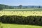 Beautiful countryside seen from Berkeley Castle in county of Gloucestershire, England