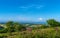 Beautiful countryside view Somerset with pink foxglove flowers to Weston-super-mare uk