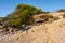 Beautiful cove (Cala Blanca) in Alcossebre  Valencian Community  Spain