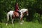 Beautiful cowgirl bareback ride her horse in woods glade. Equine, people