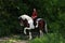 Beautiful cowgirl bareback ride her horse in woods glade. Equine, people
