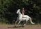 Beautiful cowgirl ride her horse in woods glade