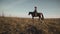 Beautiful cowgirl riding horse in background sunrise field. Young woman at horse