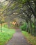 Beautiful cozy alley in the park