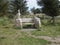 Beautiful Craftsmanship - Carved Wooden Bench in Newburgh, Aberdeenshire