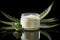 Beautiful cream bottle with beauty products aloe green leaves on black background. Natural organic skin care