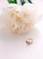 Beautiful creamy peony flower and golden engagement ring on white background