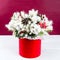 Beautiful creative decorative winter bouquet with berries, cotton wools and pine branches on the box on red background