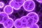 beautiful creative purple many bio living cells digitally drawn texture or background illustration