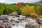 Beautiful creek in an autumn forest among mountains with clouds. stream in High Tatras National park