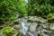 Beautiful creek flowing inside of a green forest with stones in river at Mindo