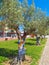 Beautiful crochet trees in Silves in Portugal