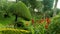 Beautiful cropped plants in the kodaikanal chettiar park.