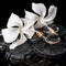 Beautiful cryogenic spa concept of delicate white hibiscus, zen