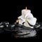 Beautiful cryogenic spa concept of delicate white hibiscus, zen