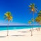 The beautiful cuban beach of Varadero
