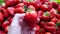 Beautiful cultivated deep red strawberries, macro photography, food and fruit