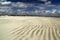 Beautiful Cumberland Island National Seashore