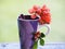 Beautiful Cup and flowers on the edge of the table.