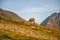 A beautiful, curious wild chamois grazing on the slopes of Tatra mountains. Wild animal in mountain landscape.