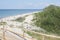 Beautiful Curonian Spit Summer Landscape Part of dune with light sand