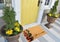 Beautiful cursive welcome peach color doormat with red and black flower plant Placed outside door with green leaves