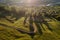 Beautiful curvy country road with fir trees in background during the sunrise with rays of light. Comanesti, Romania