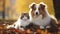 Beautiful cute dog and cat posing in an autumn park. Cute pets posing in an autumn forest. Best friends forever