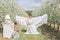 Beautiful cute girl in a light white dress in apple blossoming garden sees on the hammock with a book