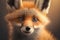 Beautiful cute red fox looking at camera with curious eyes. Portrait of adorable fluffy orange fox with big ears. Genearative AI