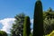 Beautiful cypress avenue surrounded by other trees with the blue sky background