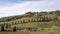 Beautiful cypress-lined country road in La Foce, Siena, Tuscany, Italy