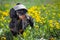 Beautiful dachshund dog, black and tan, wears a cap on his head on a meadow of dandelions and green grass in the summer