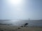 Beautiful Dadar coast, Bandra worli sea link in Mumbai ,Maharashtra, India. Beautiful nature view.