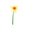 Beautiful daffodil with yellow petals. Colorful hand drawn vector icon of narcissus. Blooming spring flower