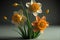 beautiful daffodils on a black background. vector illustration