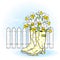 Beautiful daffodils in rubber boots. Spring composition against a white fence. Vector illustration. Garden flowers.