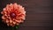 Beautiful Dahlia Flower on Wood Background with Copy Space