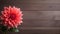 Beautiful Dahlia Flower on Wood Background with Copy Space