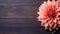 Beautiful Dahlia Flower on Wood Background with Copy Space