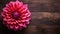 Beautiful Dahlia Flower on Wood Background with Copy Space