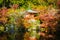 Beautiful Daigoji temple with colorful tree and leaf in autumn s