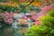 Beautiful Daigoji temple with colorful tree and leaf in autumn season