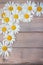 Beautiful Daisy flower lies on a wooden Board