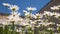 Beautiful daisy flowers in the courtyard. white flowers shakes the wind against the blue sky